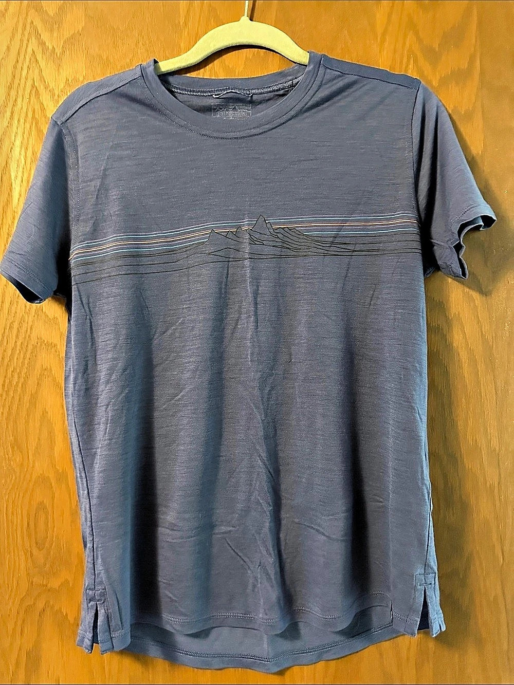 Patagonia Capilene Cool Merino Blend Graphic Shirt